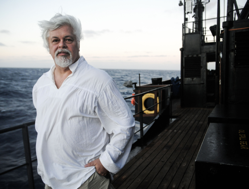 Captain Paul Watson in Antarctic, 2009. Photo credit: Sea Shepherd